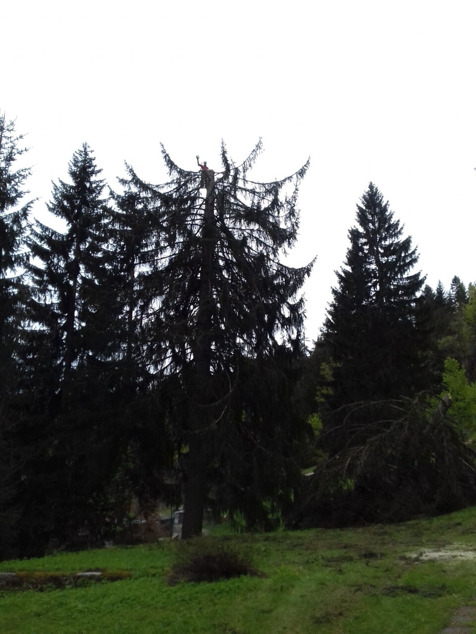 20210524_171301