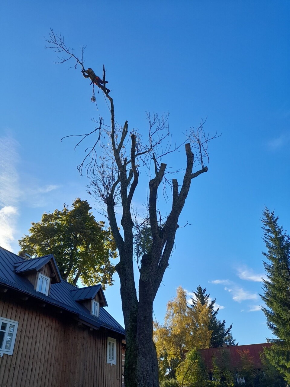 20211020_102408