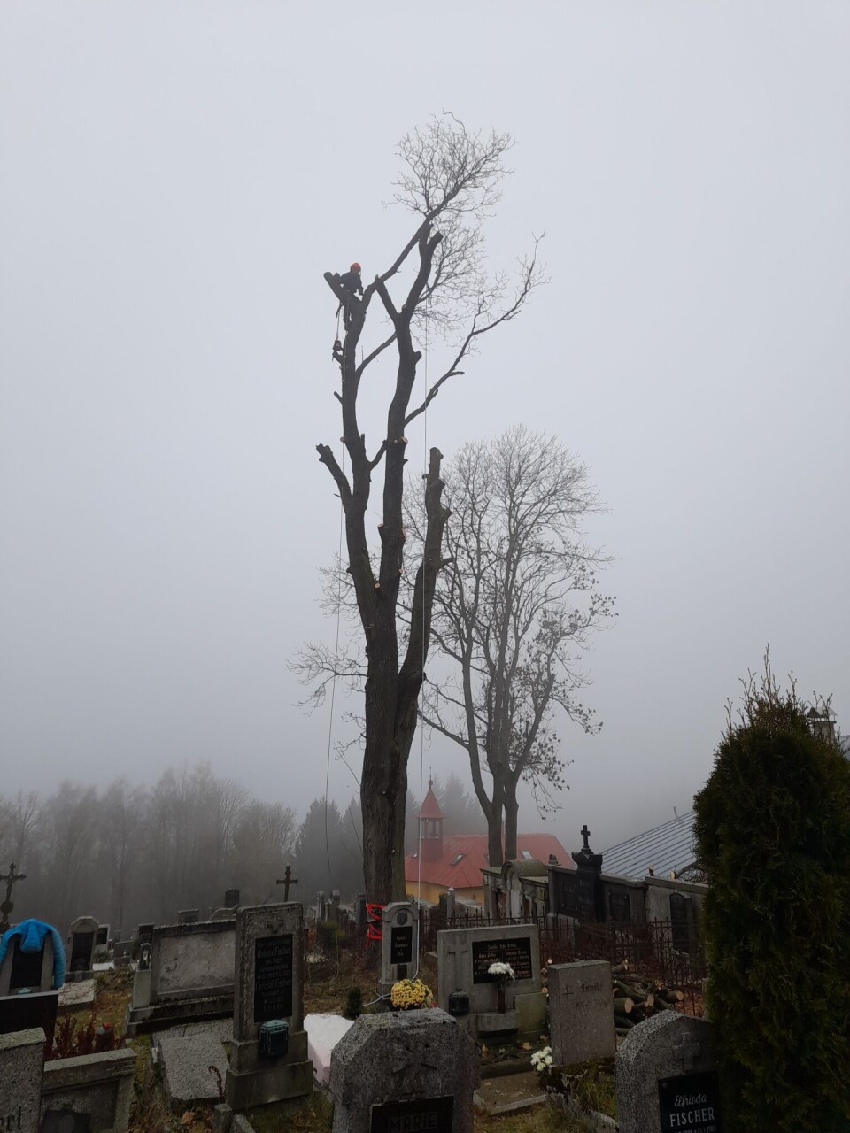 20211111_123531