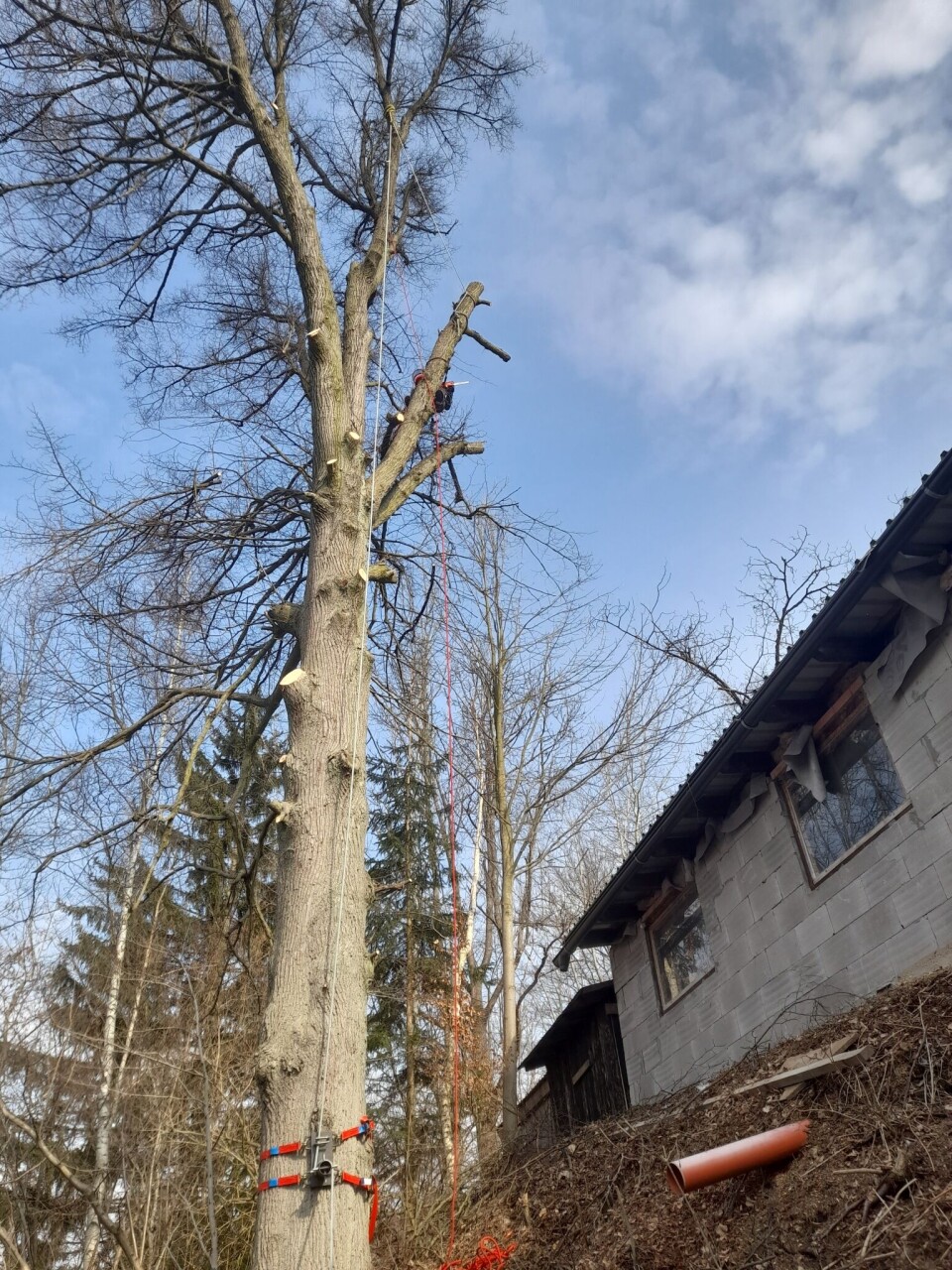 20220318_103449