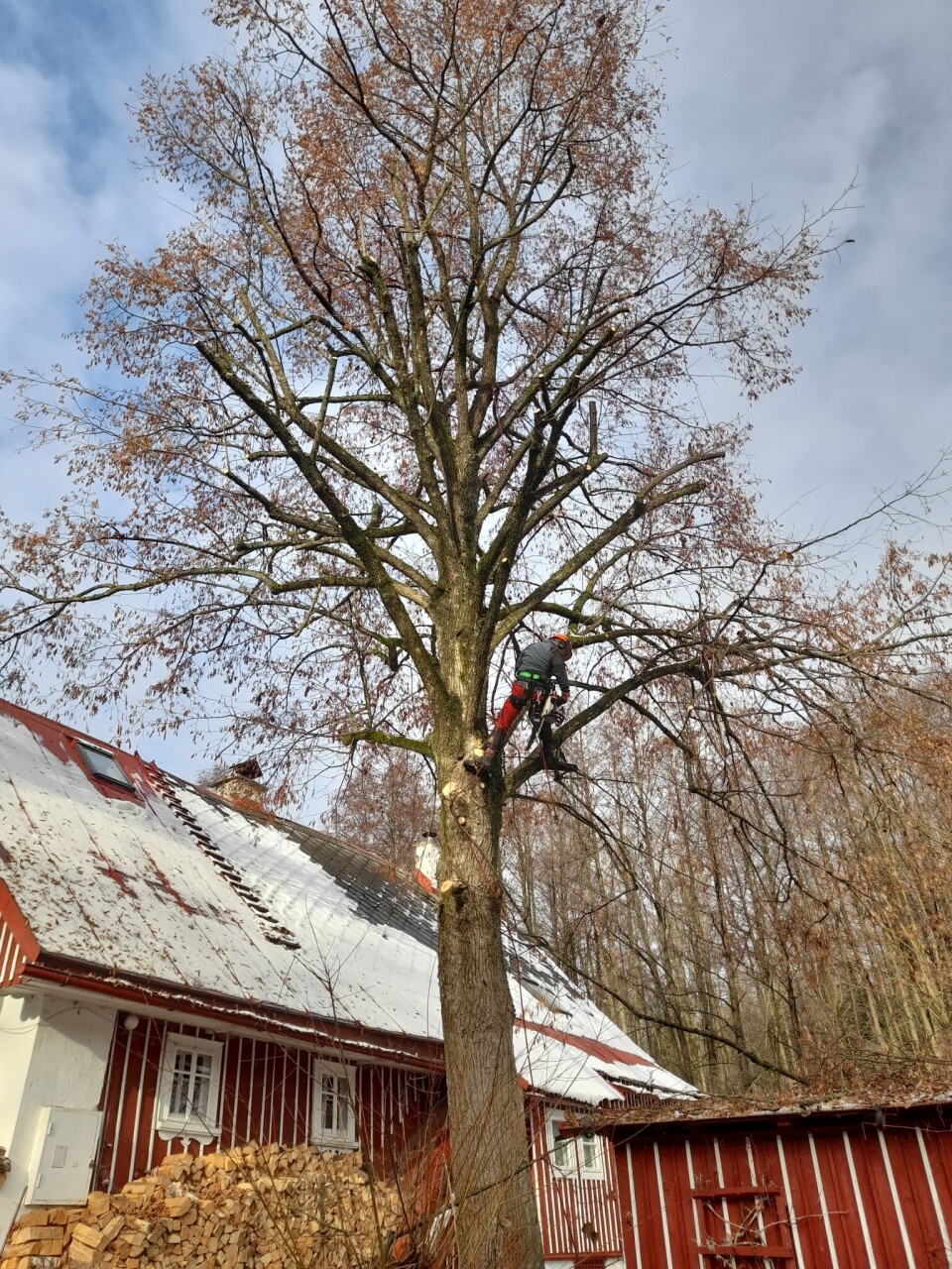 20221124_122948