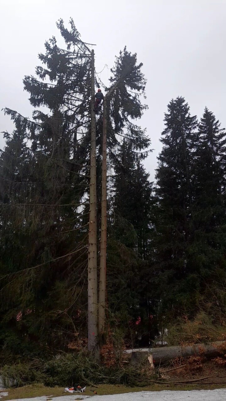 VideoCapture_20230322-173654