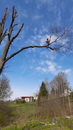VideoCapture_20221123-193154